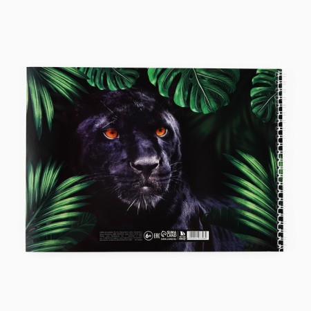 Album for drawing 40 A4 sheets on the spring “September 1: Panther” cover 200 g/m2, paper 100 g/m2.-5