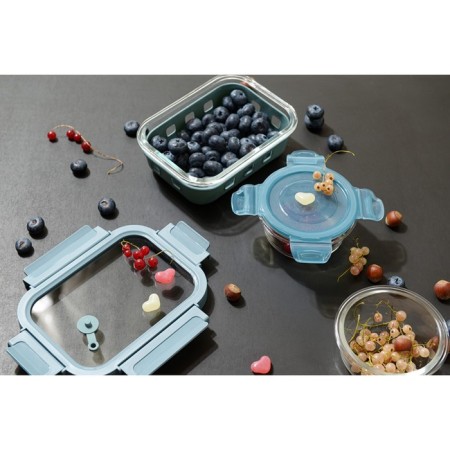Container for baking, storage and carrying of products in the Smart Solutions cover, Blue color, 1050 ml-27