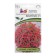 Petunia flowers "Beatrice", F1, cascading, mini red, 5 pcs