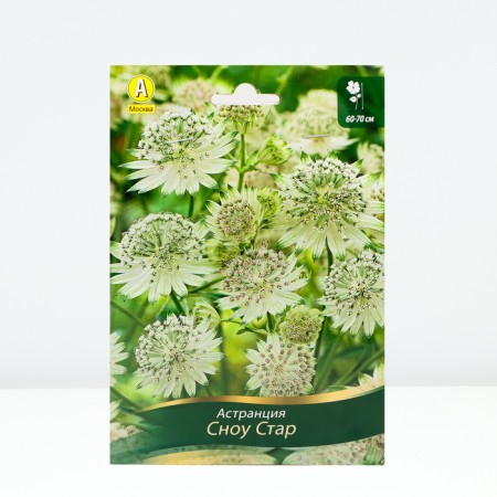 Sahenian Avalia Snow Star, 1 pc, Spring 2024