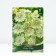 Sahenian Avalia Snow Star, 1 pc, Spring 2024