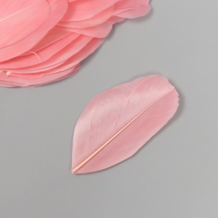 Decorative goose-pink-pink-pink pen. In the shape of a sheet set 40 pcs h = 5-7 cm-2
