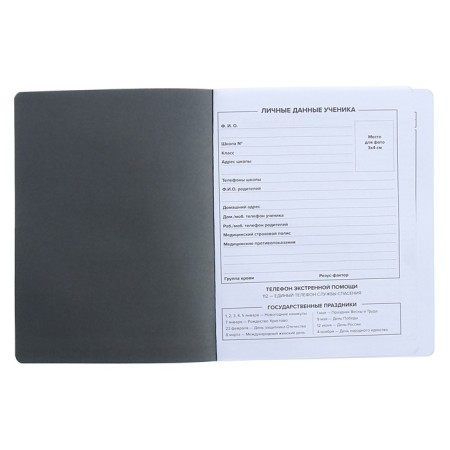 Universal Diary Grade 1-11, 48 sheets "Skateboardist", soft cover of artificial leather, pancake embossing-3
