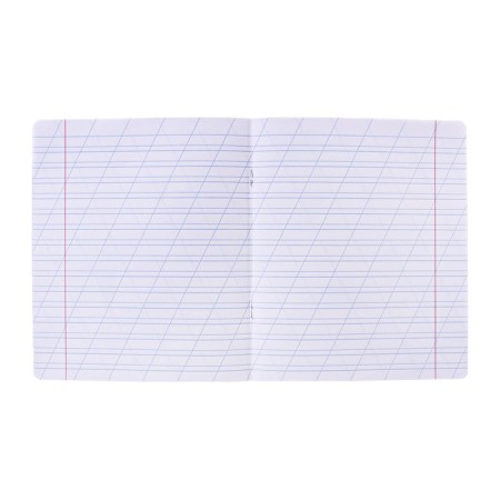 Notebook of 12 sheets in the slanting ruler, Erichkrause Visio "Classic", cover coated cardboard, offset block, green-8
