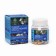 Owks of medicinal "Extract-Vis", 30 capsules of 0.4 g