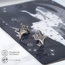 Earrings Metal 