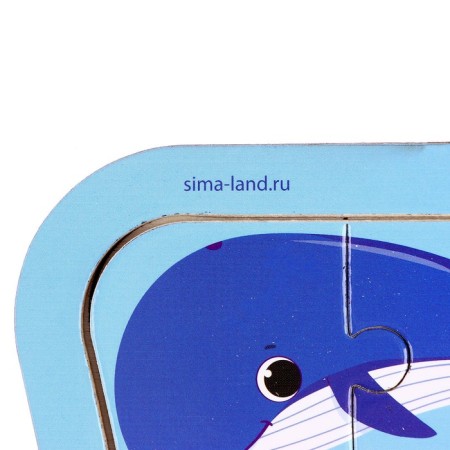 Puzzles on the “Sea” substrate-5
