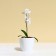 Flower pot, d = 12.5 cm, 1 l, plastic, white