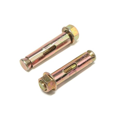 Steelrex anchor bolt, with a nut, galvanized, 12x60 mm, 2 pcs