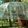 Umbrella female dome "I see you through and through", 8 spokes, d = 88 cm, transparent