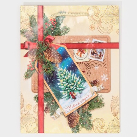 Laminated vertical package “Happy New Year!”, MS 18 x 23 x 8 cm, New Year-6