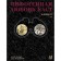 Mythogenic love cast in comics. Pepperstein P., Anufriev S.