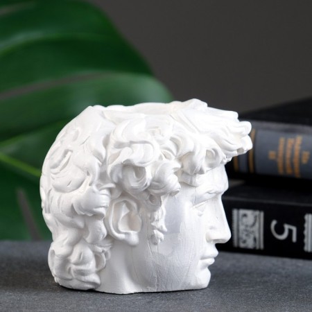 Kashpo - organizer "Head of David" Pearl, 9x9x9cm-2