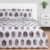 Bed linen Ethel 2 joint venture Natural Print 175x215 cm, 200x220 50x70 cm -2 pcs, Maco -Satin