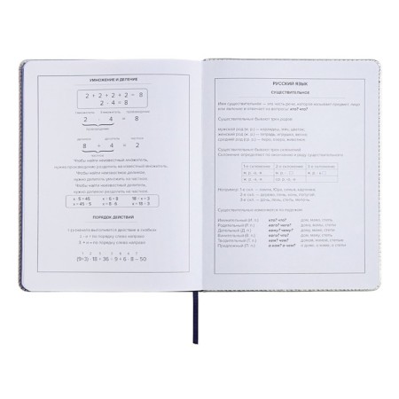 School diary for grades 1-11 "Cherry", solid cover with foam rubber, artificial leather, applique, lies, 48 ​​sheets, handle in the kit, block 70g/m2-14