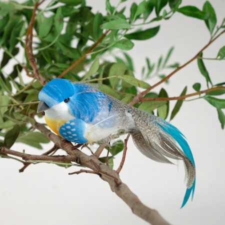 Decor on a bird wire, mix