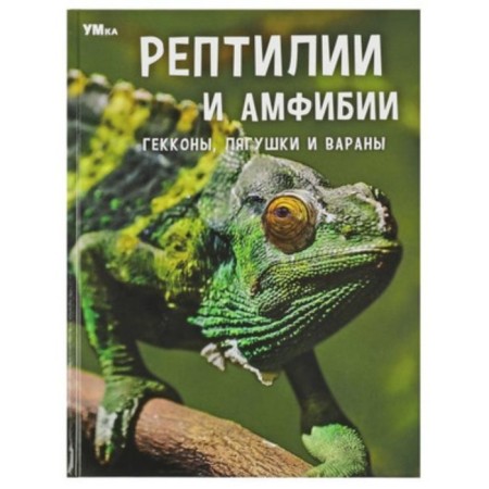 Reptiles and amphibians. Geckons, frogs and varana