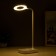 Table lamp touch lamp "Lody" LED 4W USB AKB White 9x12x45 cm Risalux