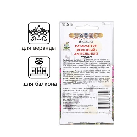 Flowers Cataranth Ampelus "Atlant", 10 pcs-2
