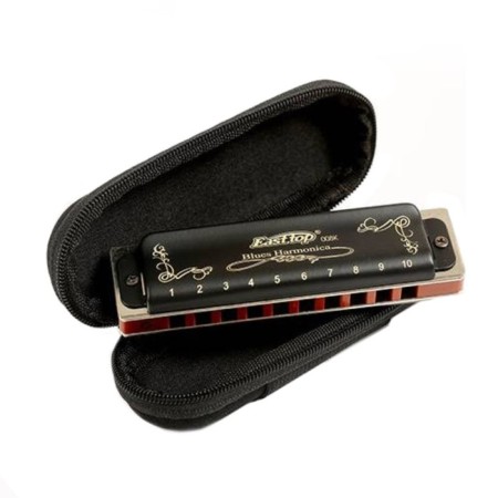 Diathonic harmonica Easttop T008K Paddy D-1
