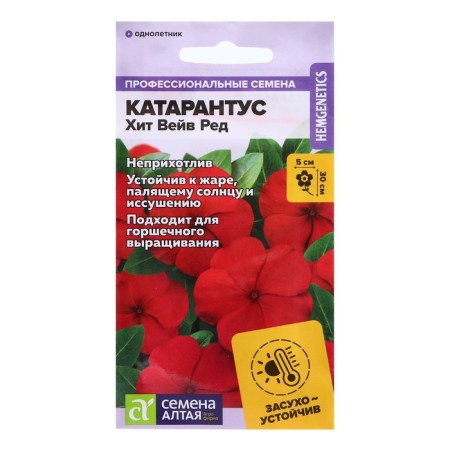 Catarantus Seeds "Hit Vave Ed", 7 pcs.
