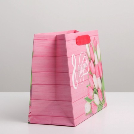 Package Gift Laminated Horizontal, Packaging, Women's Day, MS 23 x 18 x 10 cm-2