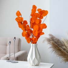Sukhotzet of peach wood, 50 g, length - 70 cm, orange color