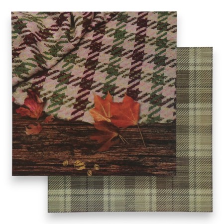 Photophone bilateral cardboard density 350 grams "Cell" 50x50 cm-1