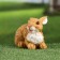 Garden Figure "Bunny Glying" 14x7x11cm