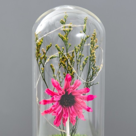 Night -night flask "Flower" LED from batteries LR44 mix 8x8x19 cm Risalux-4