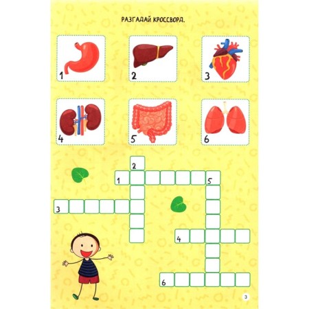 Smart notebook "Human Body"-2