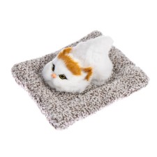 A toy on a car panel, a cat on a pillow, a white-red color