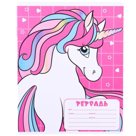 Notebook in a large cage 12 sheets, 5 types of mix, cover coated paper, Minnie Mouse and unicorn-11
