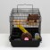 A cage for rodents "Pijon", with a filling of 47 x 30 x 27 cm, black