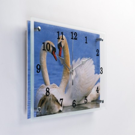 Carty clock is wall-mounted, interior "swans", silent, 25 x 35 cm-1