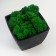 Concrete Kashpo "Classic" with moss height 9 cm black (moss green stabilized)