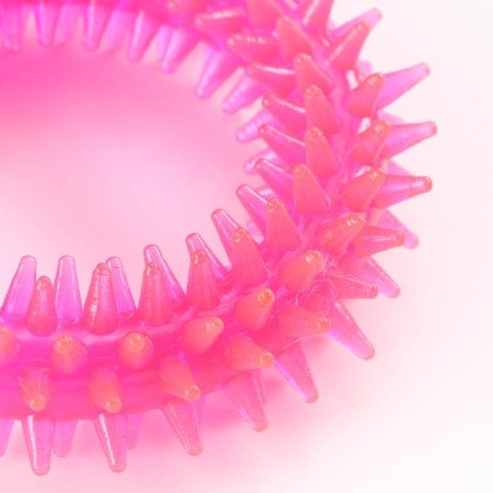 Chewing toy for dogs "needle ring", 9 cm, pink-2