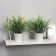 Bonsai in the pot "Field foliage" 9x23 cm, mix