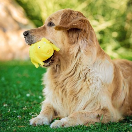 Brying toy "Funny Pig" for dogs, grunting, 19 cm, yellow-7