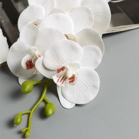 Artificial flowers "Extra Galant orchid" 60 cm d-8 cm, white-1