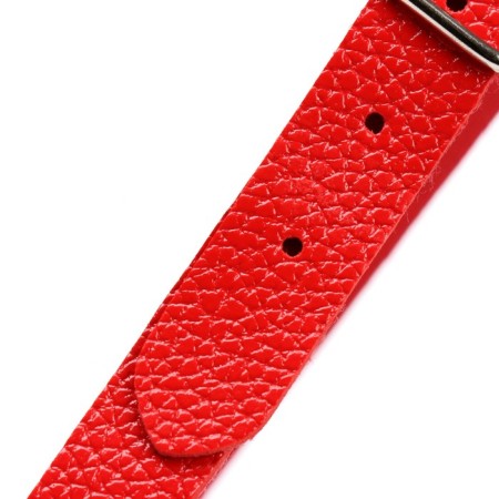 Gag BDSM Oka-hips, classic, adjustable belt, PU, ​​ABS, 500 x 45 mm, red-4