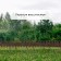 Decorative fence, 25 × 300 cm, 8 sections, plastic, brown, "Ivushka"