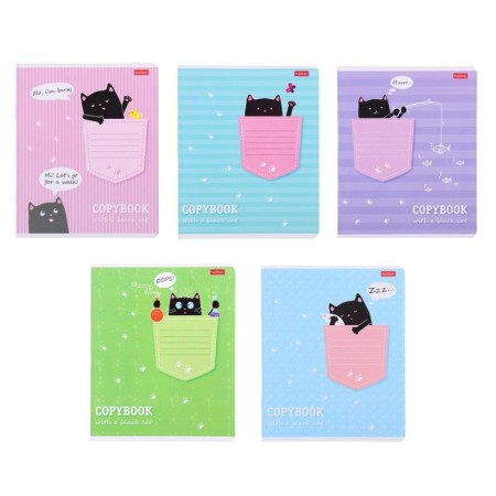 Notebook 12 sheets, in a cage, a “cat in a pocket”, a covered cardboard, an offset block, mix