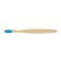 Bamboo denture hard in the box, blue
