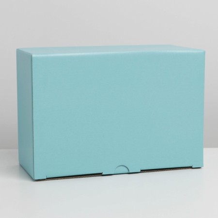 Gift folding box, packaging, Tiffany, 22 x 15 x 10 cm-4