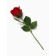 Soap rose of burgundy in a box