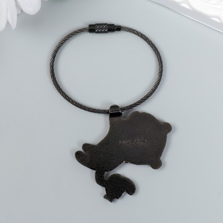 Tag Metal on the Tigerok with Pisces Tigeron Emal 5.2x4.1 cm-3