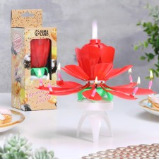 Candle for the cake musical 