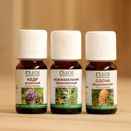 A set of 100% natural essential oils "cedar, juniper, pine"-1