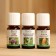 A set of 100% natural essential oils "cedar, juniper, pine"